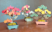 Play Plants Bonsai Puzzles - Daily Display Choice