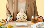 Posture Pal - CHiiKAWA - Gift Shelf Ready