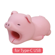 CABLE BITE for Type-C USB - Modern Shelf Charm