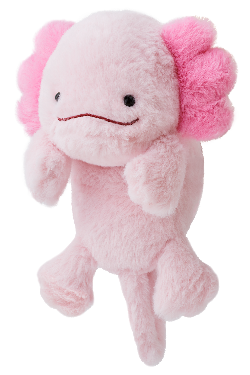 Posture Pal - Mini Daily Style
