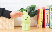 SMISKI Touch Light - Dream Display