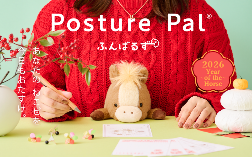 Posture Pal - Classic Desk Carry