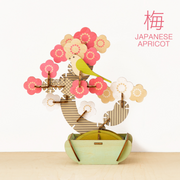 Play Plants Bonsai Puzzles - Daily Display Choice