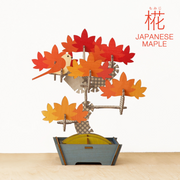 Play Plants Bonsai Puzzles - Daily Display Choice