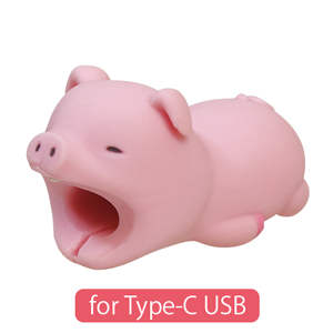 CABLE BITE for Type-C USB - Modern Shelf Charm