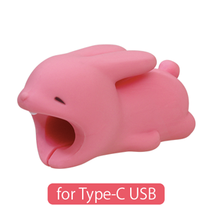 CABLE BITE for Type-C USB - Modern Shelf Charm